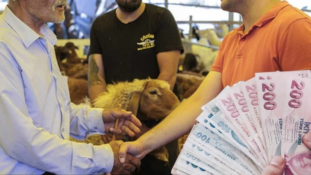 2026 Kurbanlık Fiyatları Kaç TL? Küçükbaş Ve Büyükbaş Fiyat Aralıkları
