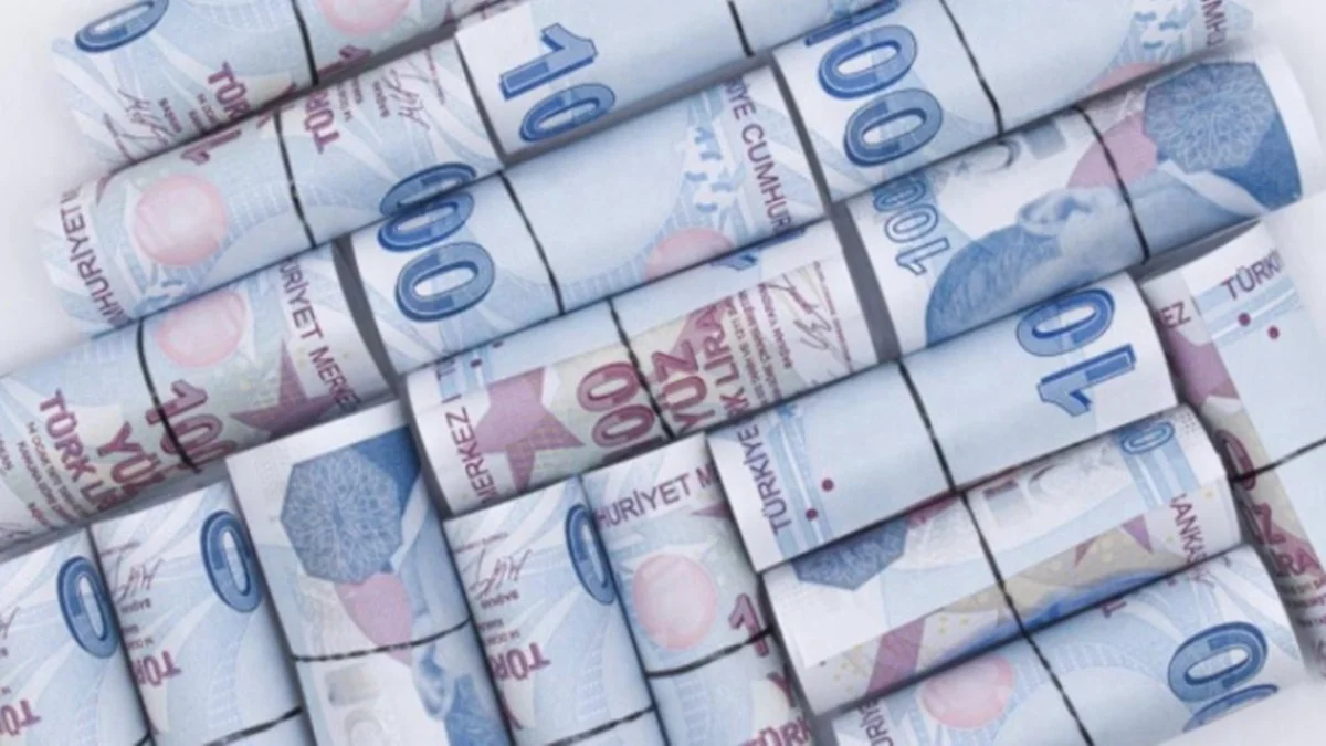 800 Bin TL'si Olanlar Aylık Kaç TL Kazanıyor Belli Oldu
