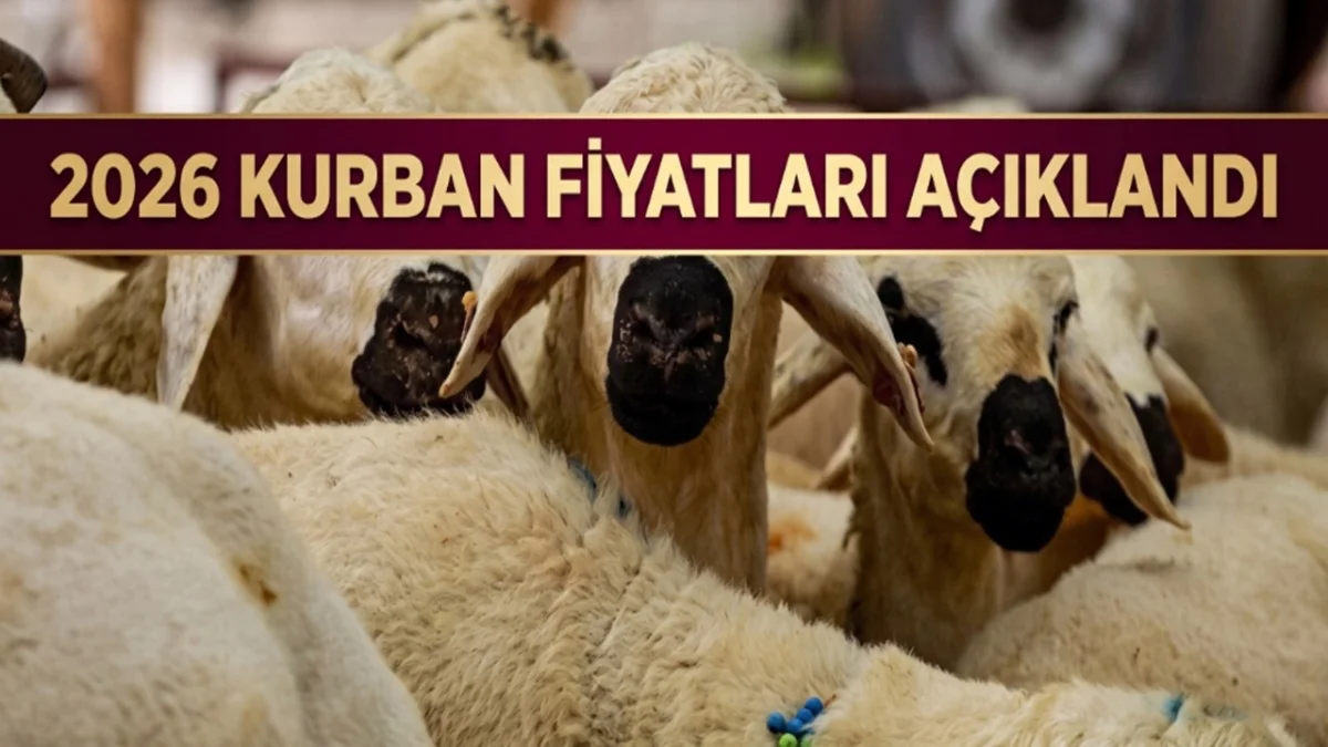 Kurban Pazarında Son Durum! Dana Koyun Büyükbaş Küçükbaş Fiyat Listesi